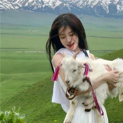 李佩西与五大王国的守护者